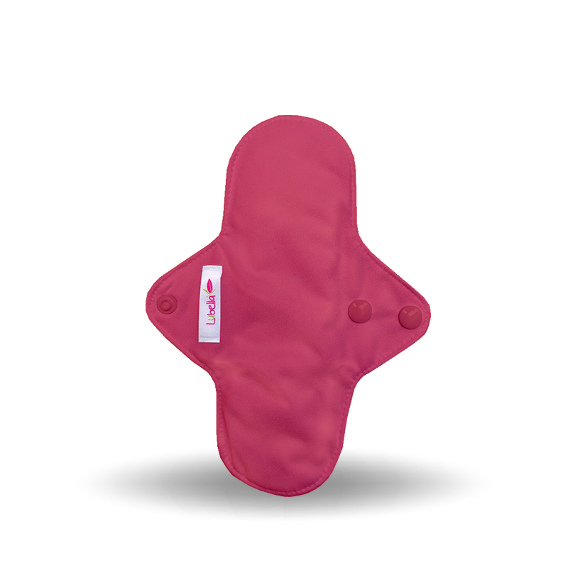 Pantiprotectores